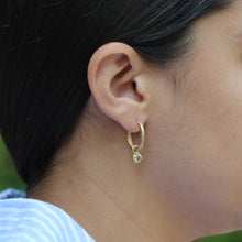 Load image into Gallery viewer, Hoop Earring Gold set with Salt and Pepper Diamonds