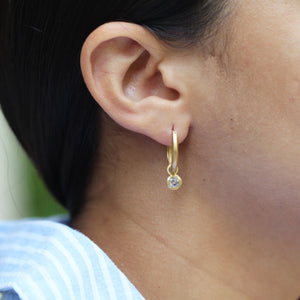 Hoop Earring Gold set with Salt and Pepper Diamonds